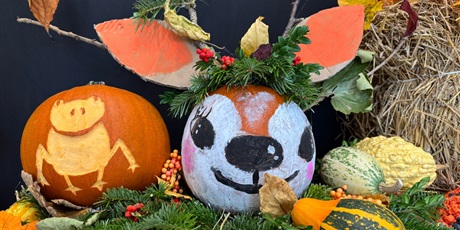 🎃 Dzień Dyni! 🎃