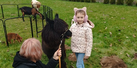 🐾 Niezwykli goście w naszym przedszkolu! 🦙