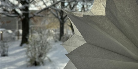 Zimowe szaleństwo w ogrodzie przedszkolnym
