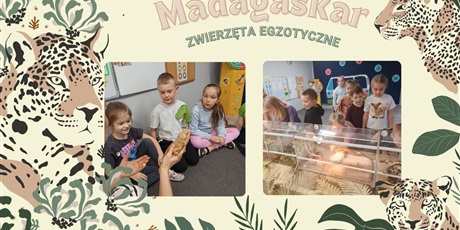 Rok Przedszkolny 2024/2025
