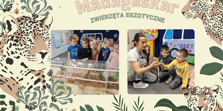 Rok Przedszkolny 2024/2025