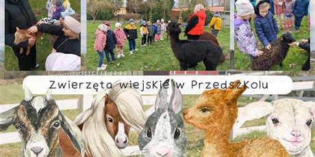 Rok Przedszkolny 2024/2025