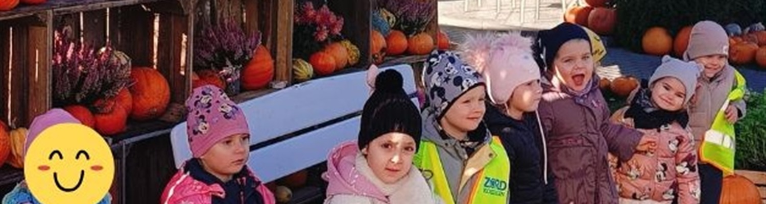 Farma Dyniowa - Liski